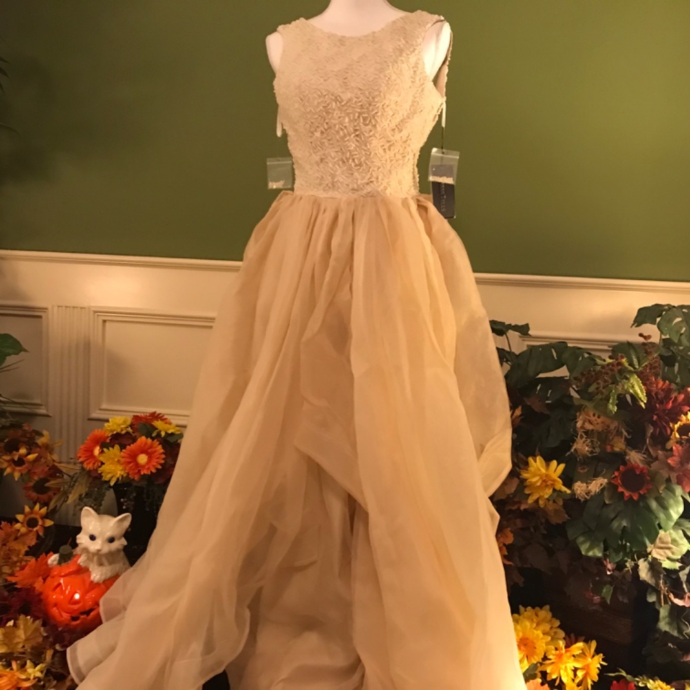 Formal evening Ball gown dress - Picture 5 of 11